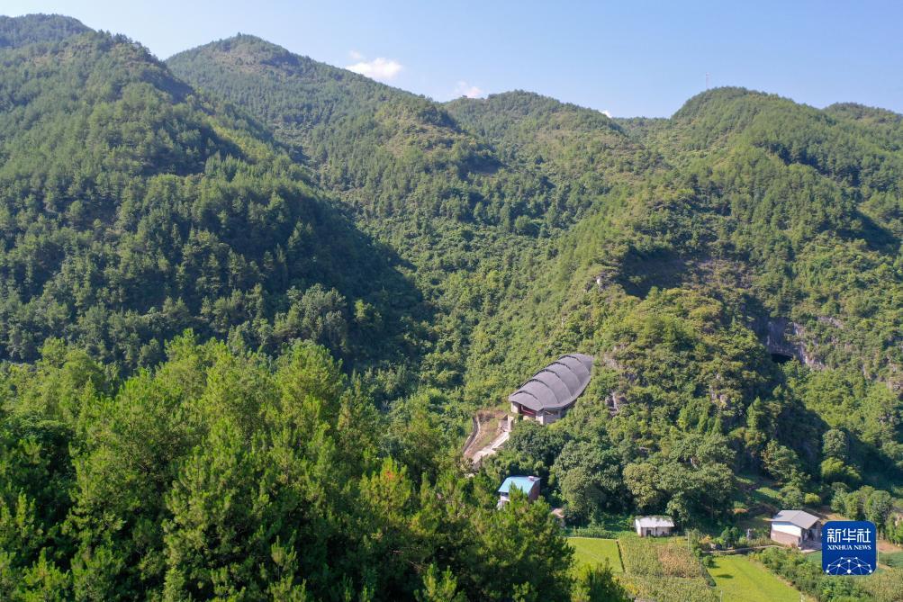 搜狗浏览器